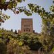 Torre de Comares (La Alhambra)
