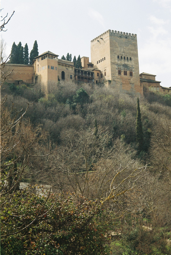 Torre de Comares,Alhambra de Granada