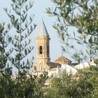 Torre de la Iglesia de Porcuna (Jaen)