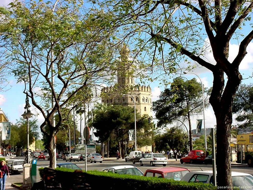 Torre de Oro de Sevilla