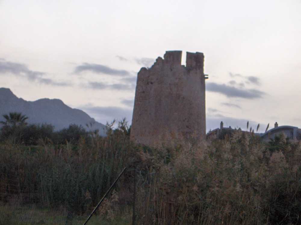 Torre degli Ulivi