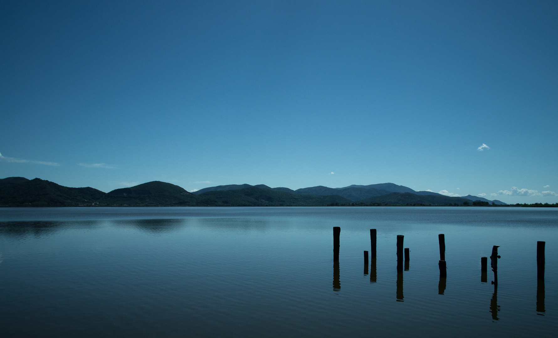 Torre del lago Puccini