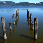 Torre del lago - Puccini