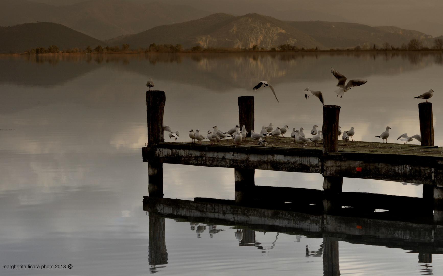 torre del lago puccini