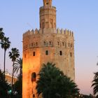 TORRE DEL ORO