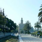 Torre del Oro. Sevilla