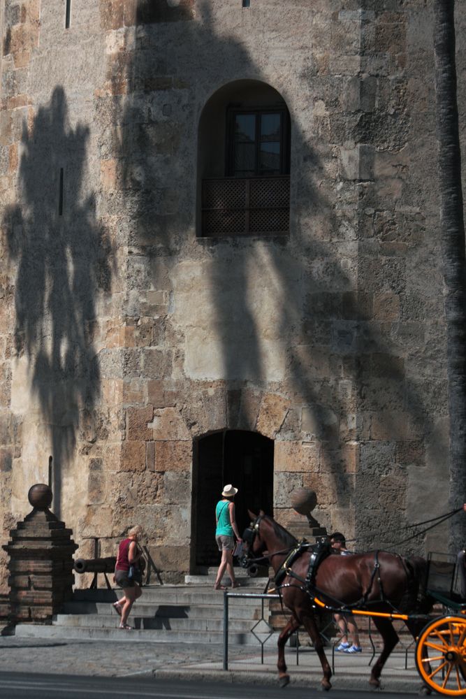 torre del oro y turistas