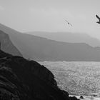 Torre del Porticciolo - Alghero