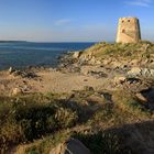 Torre di Bari!