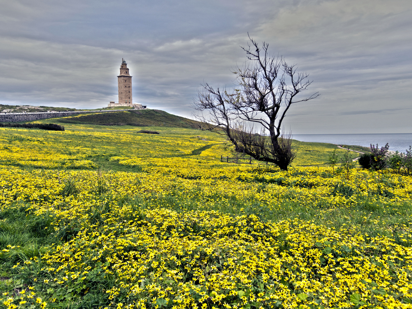 Torre di Hercules