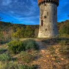 Torre di Vegliasco