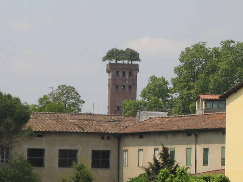 Torre Guinigi