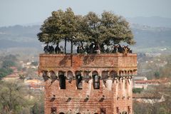 Torre Guinigi