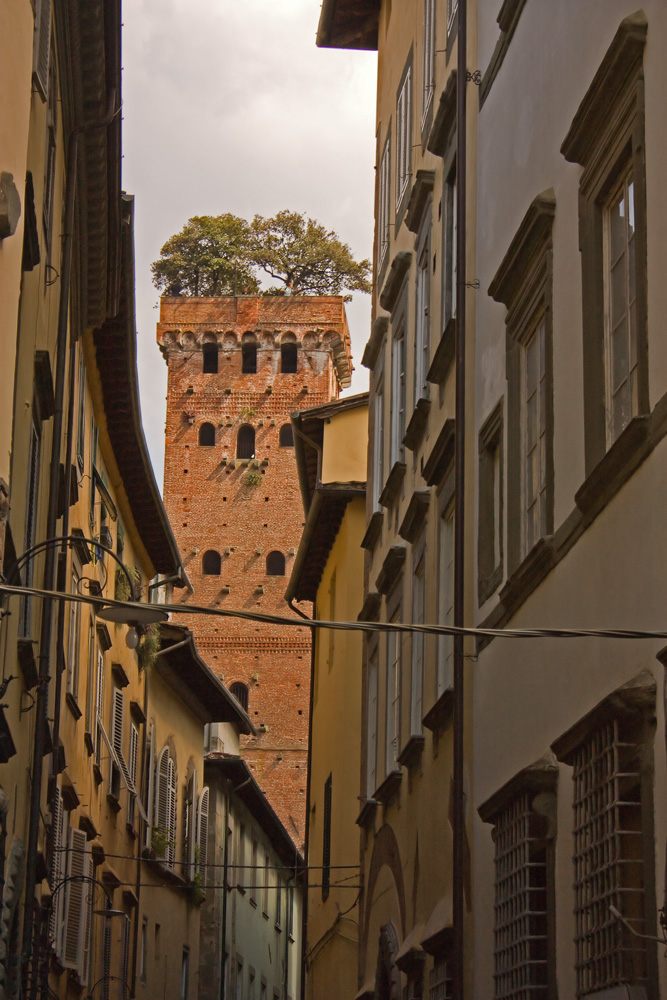 Torre Guinigi