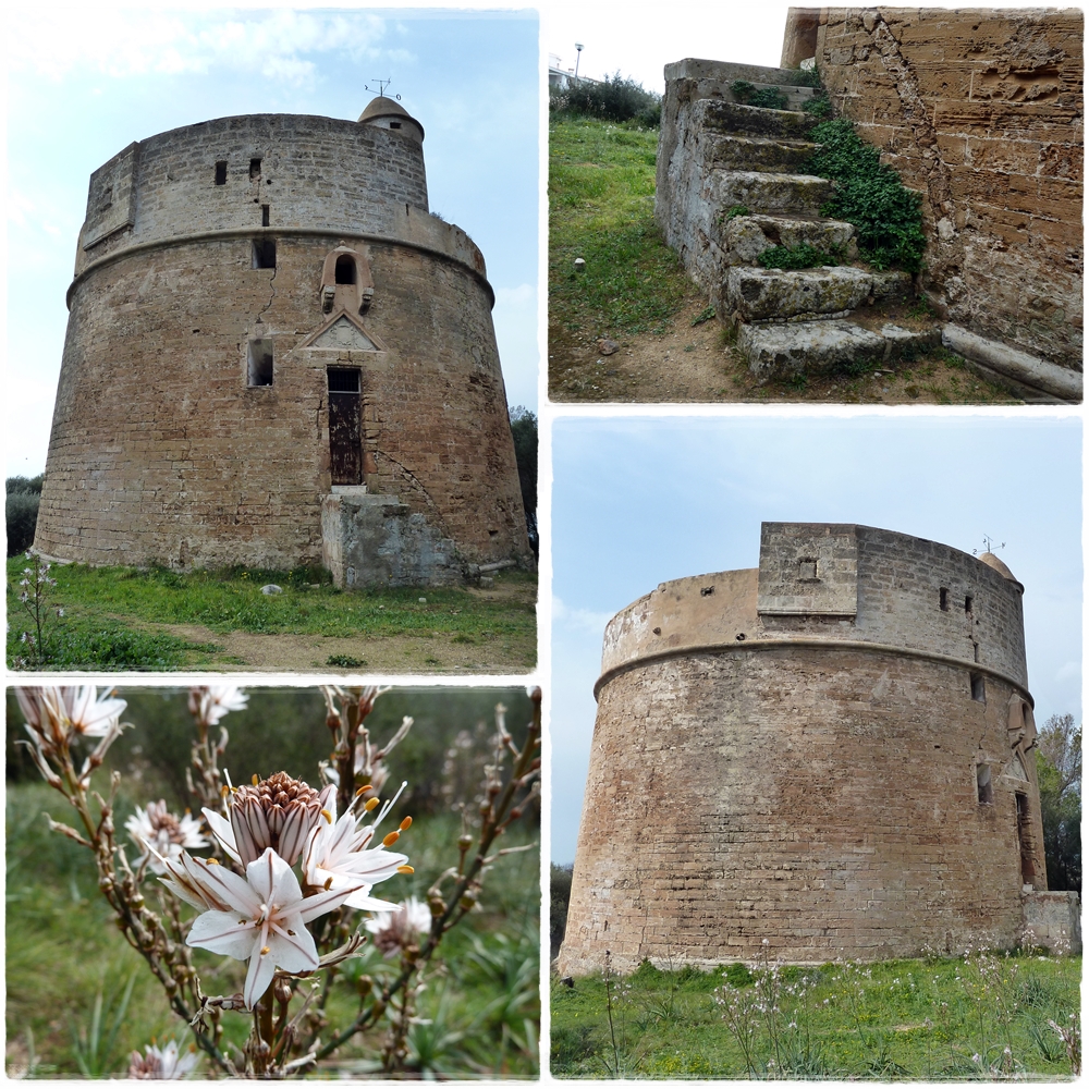 Torre Major