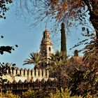 Torre Mezquita