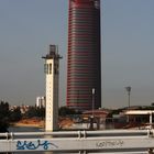 Torre Pelli y torre Schindler. paseo por el rio. 