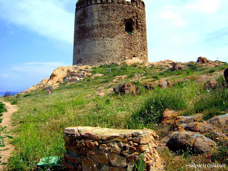 Torre Saracena