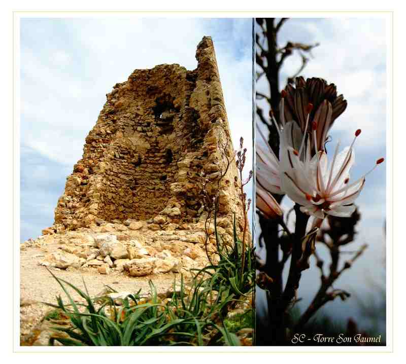 Torre Son Jaumel