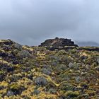 Torre Vandamme in Los Cancajos / La Palma