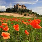 Torrechiara dai papaveri