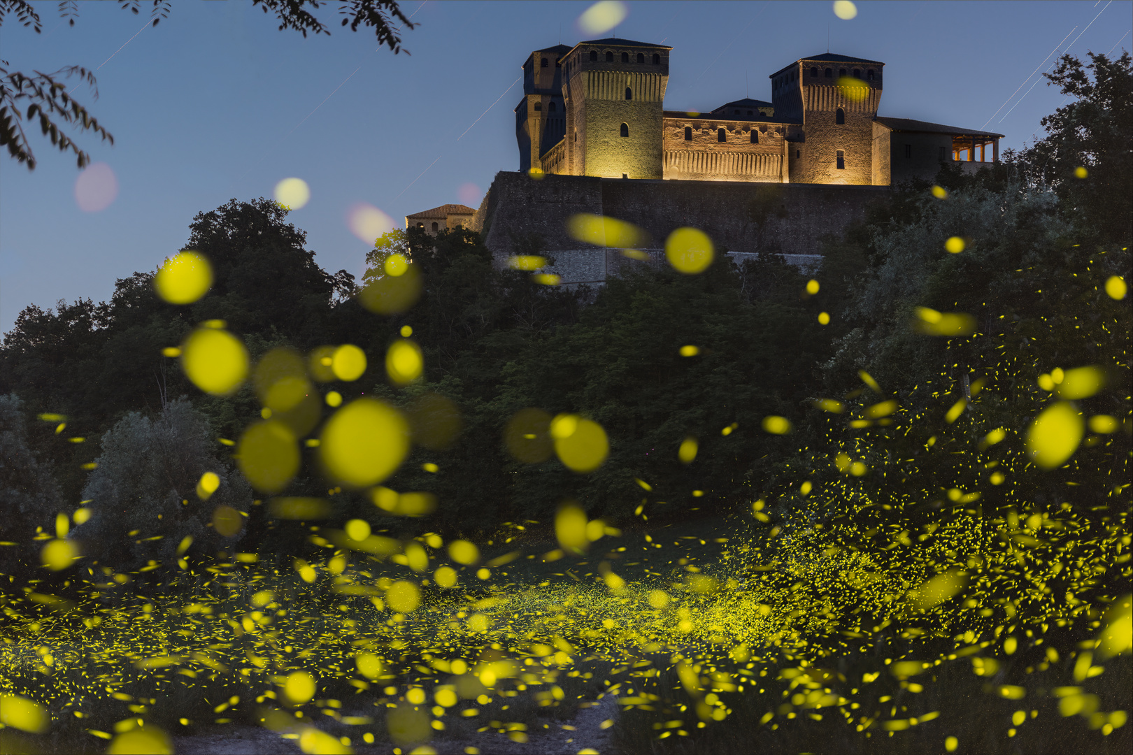 Torrechiara's fireflies 