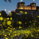 Torrechiara's fireflies 
