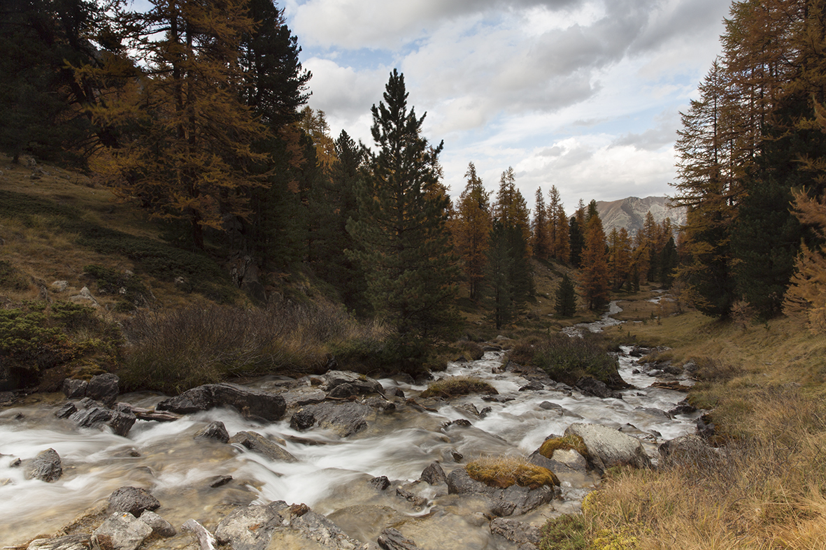 Torrent alpin