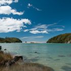 Torrent Bay - Neuseeland