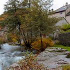 Torrent cevenol