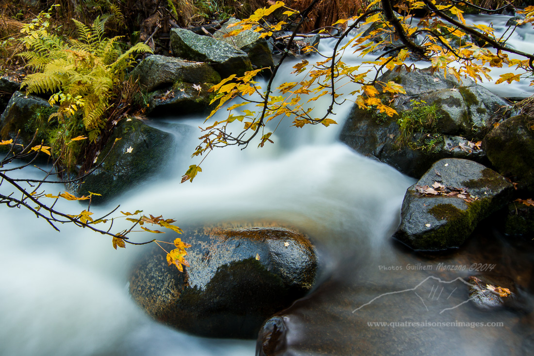 Torrent d'automne