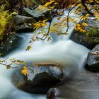 Torrent d'automne