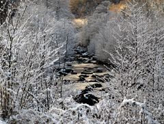 Torrent D'Auzat (Ariège)