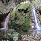 torrent de bibiarraix