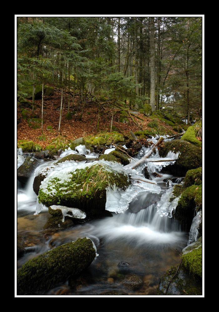 Torrent de la Wormsa