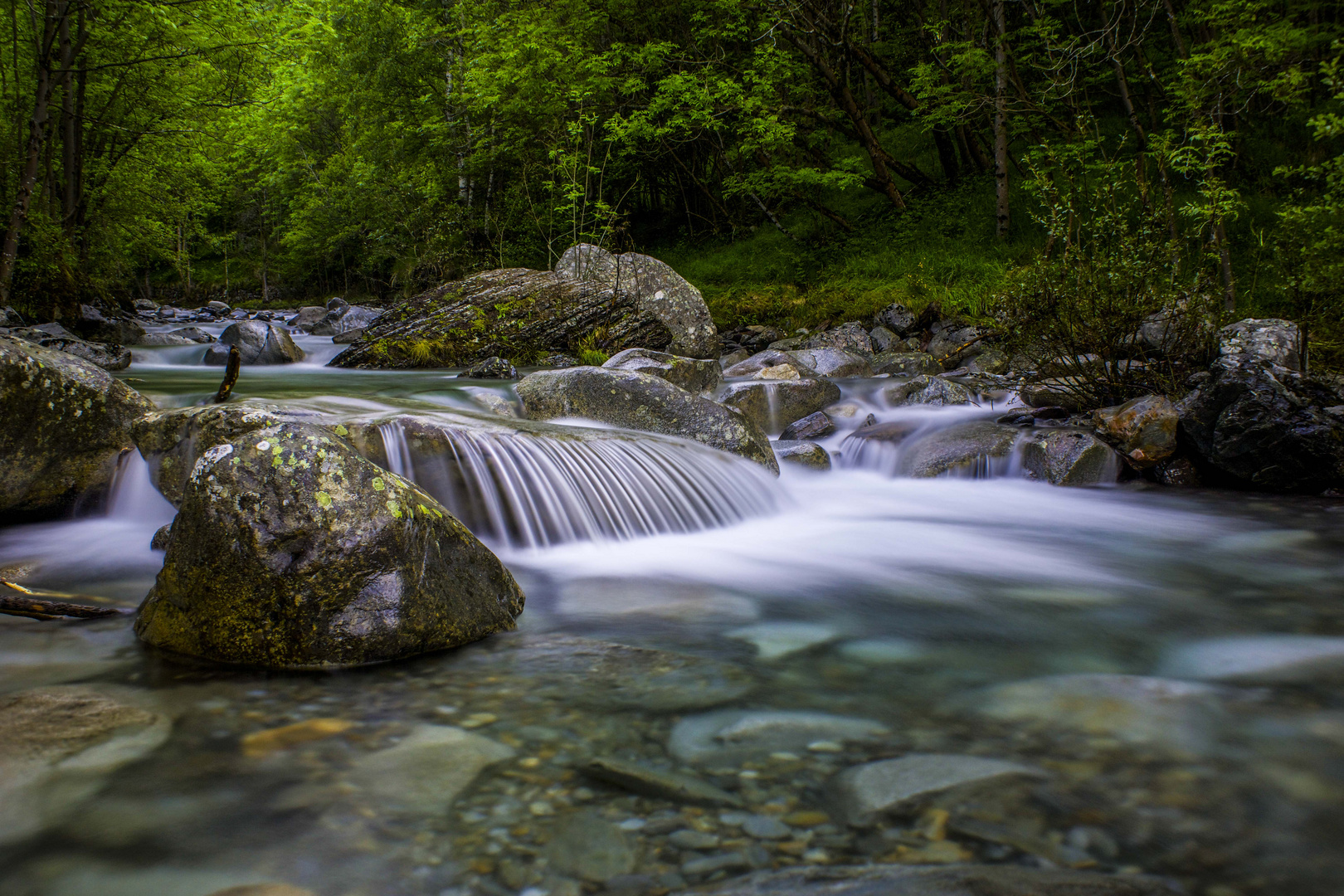 Torrent de l'Artigue en Ariège