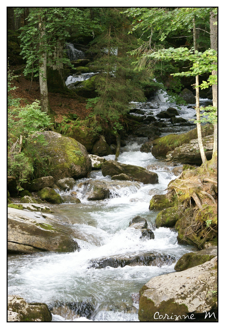 Torrent de montagne