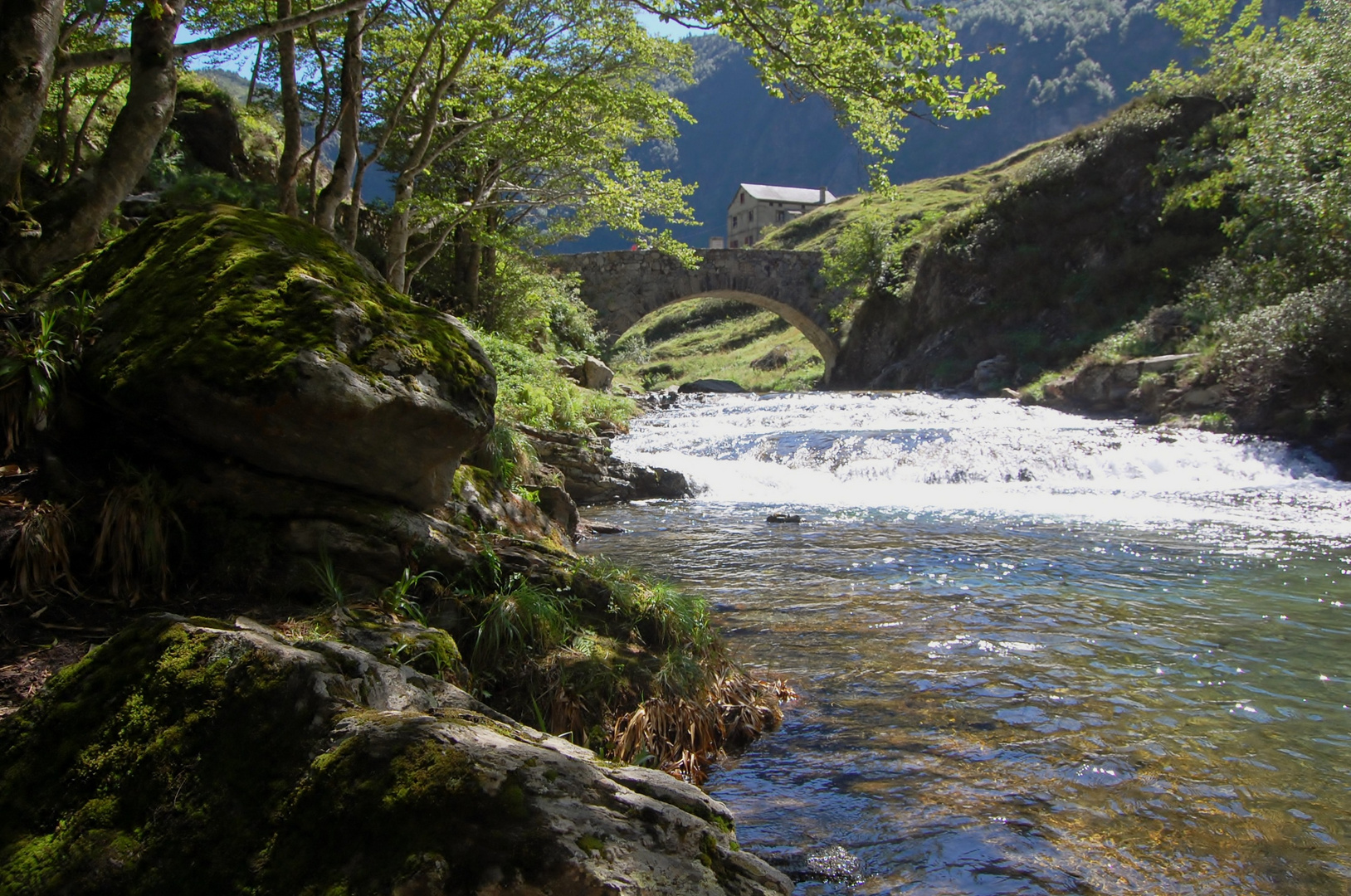 Torrent de montagne (Pyrénées)