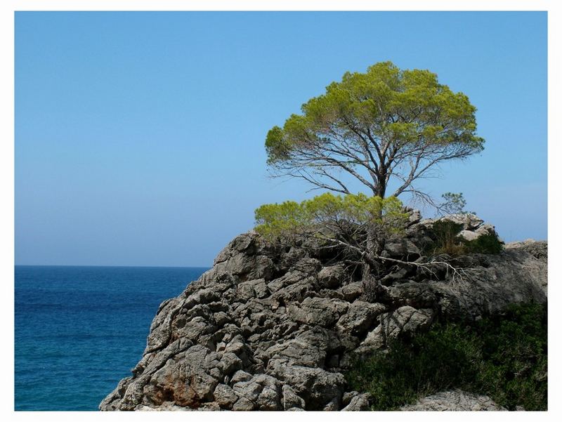 Torrent de Pareis