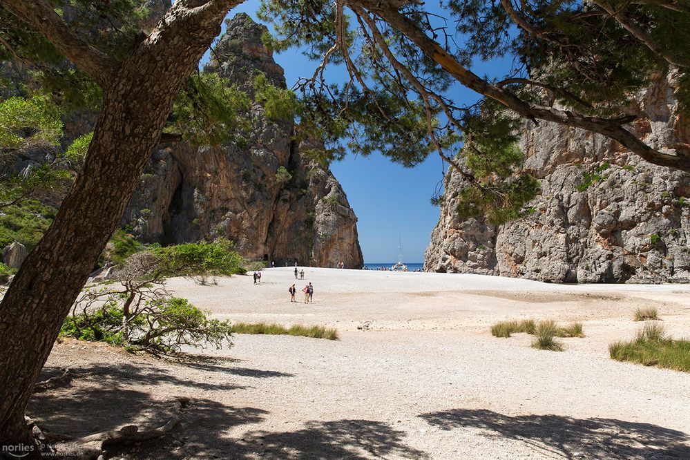 Torrent de Pareis