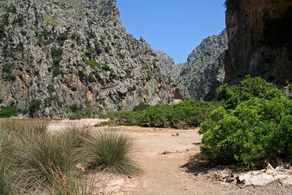 Torrent de Pareis (Cala de Sa Calobra)