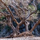 Torrent de Pareis