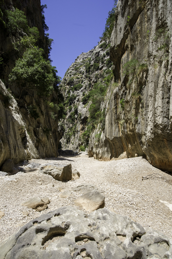 Torrent de Pareis IV