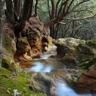 Torrent d'es Freu, Mallorca. Las últimas aguas del deshielo.