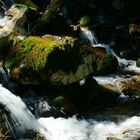 Torrent des Moulins bei St.Luc im Wallis