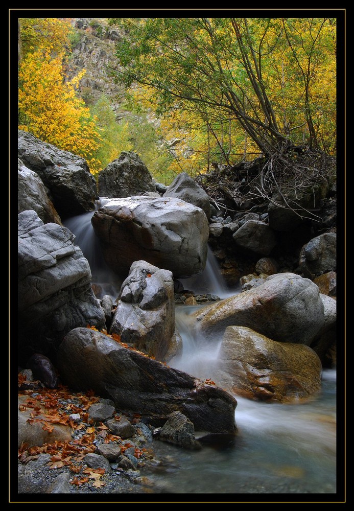 Torrent d'Isora de Michel (Toloman) 