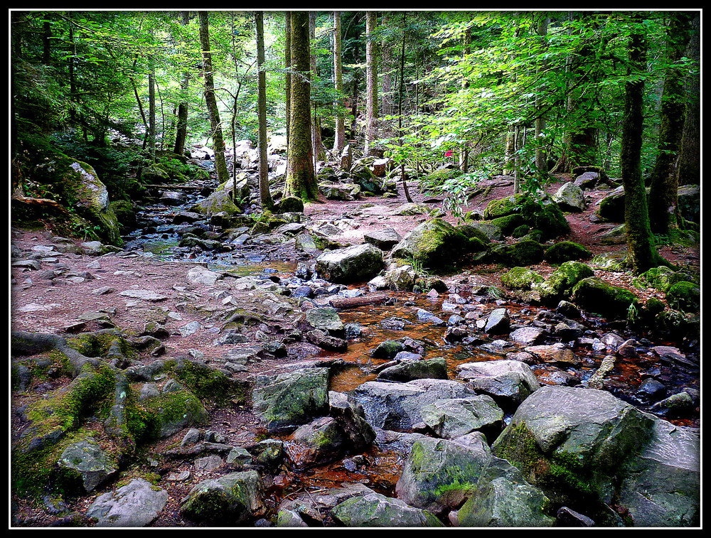 TORRENT DU TENDON