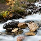 torrent hautes alpes 