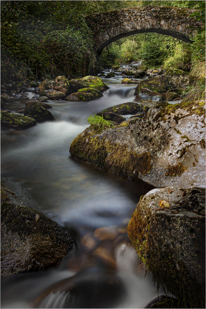 Torrent pyrénéen