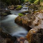 Torrent pyrénéen